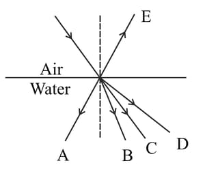 Question Image