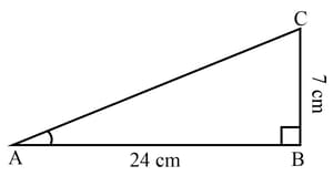 Question Image