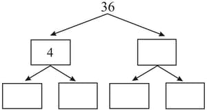 Factors of 36  Prime Factorization of 36, Factor Tree of 36