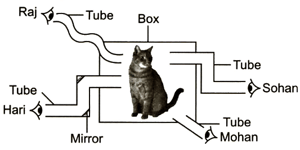 Question Image