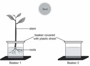 Question Image