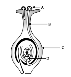 Question Image