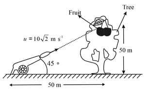 Question Image