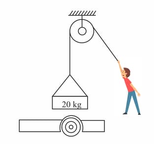 Question Image