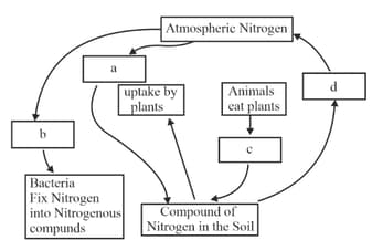 NCERT solutions for NCERT Exemplar Science - Class 8 Microorganisms ...