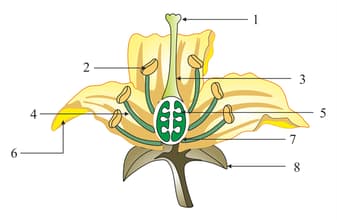 Question Image