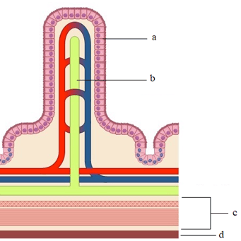 Question Image
