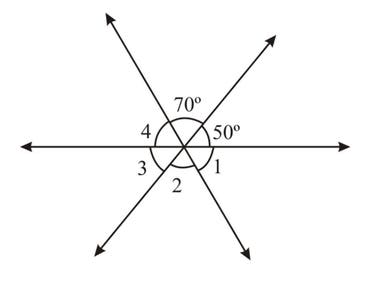 Asit Das Gupta & Alok Kumar solutions for Essential ICSE Mathematics ...