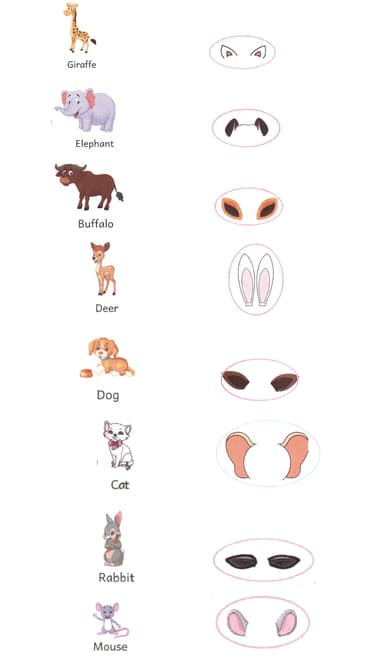 Question Image