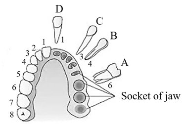 Question Image