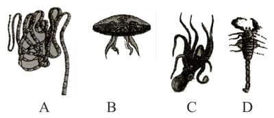 Question Image
