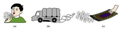 Question Image