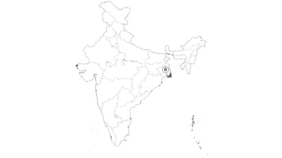 Question Image