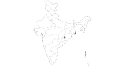 Question Image