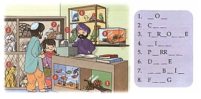 Question Image