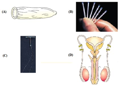 Question Image