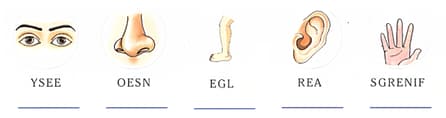 Question Image