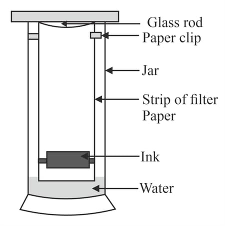 Question Image