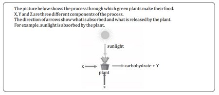Question Image
