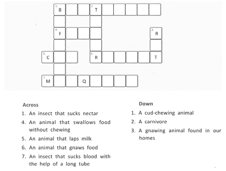 Question Image