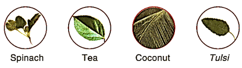 Question Image