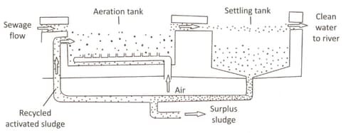 Microbes are killed in water purification systemby using