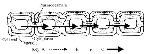 Question Image