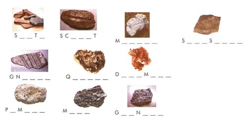 Question Image