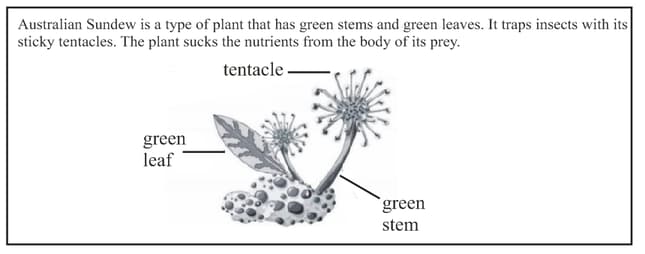 Question Image