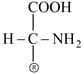 what-are-different-families-for-synthesis-of-amino-acids