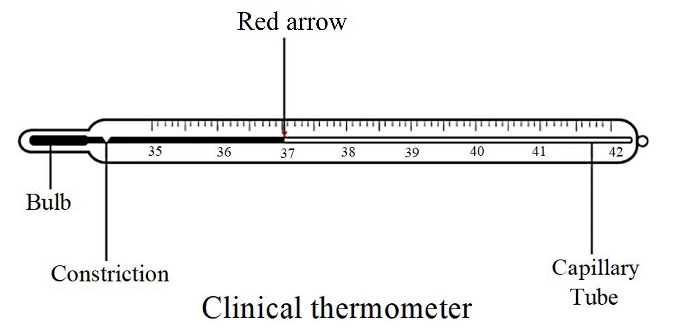 labeled clinical thermometer