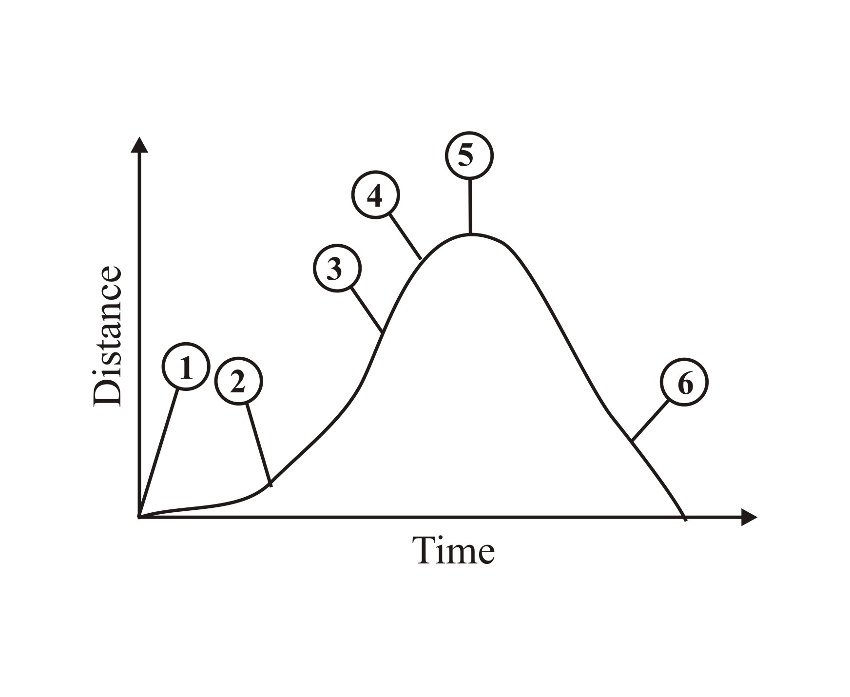 The graph shows distance travelled by a car on a rollercoaster