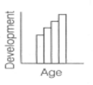 According to Piagets Cognitive Development Theory accommodation is