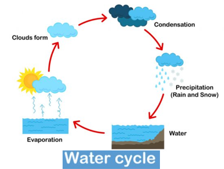 How to draw water cycle step by step / water cycle for school project / water  cycle drawing / pencil - YouTube