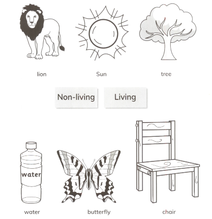 Living and Non-Living Things | How Do Living Things Grow?