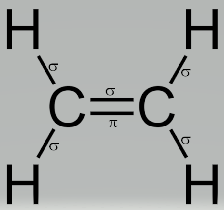 Which two of the following are true about a molecule of ethene C2H4