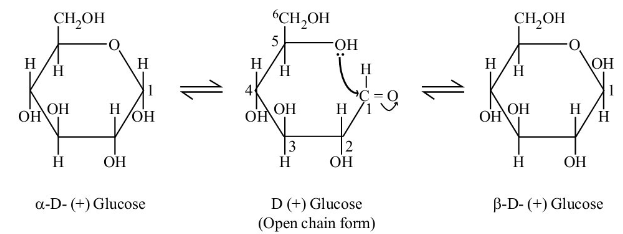 Sugar- Chemical Structure of Glucose