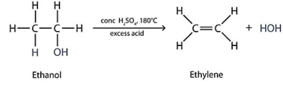 Write the electron dot structures of i C2H4 ii C2H5OH