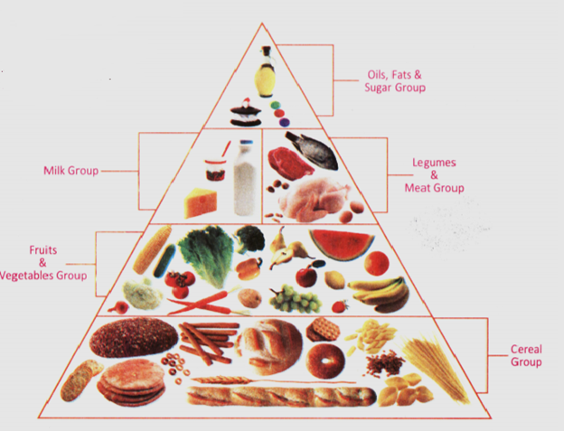 Food Pyramid Drawing Stock Photos and Images - 123RF