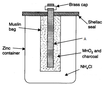 Draw A Well Labelled Diagram Of A Dry Cell And Explain How It Works ...