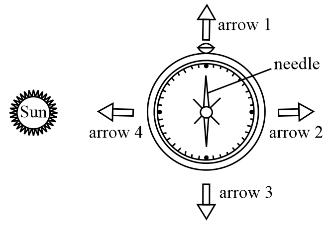 Draw the diagram of a magnetic compass.