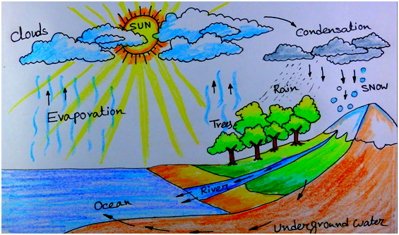 How To Draw The Water Cycle | Art For Kids Hub