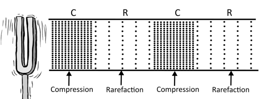 Compressions and rarefactions normally travel in 60 photos - Morilly.com
