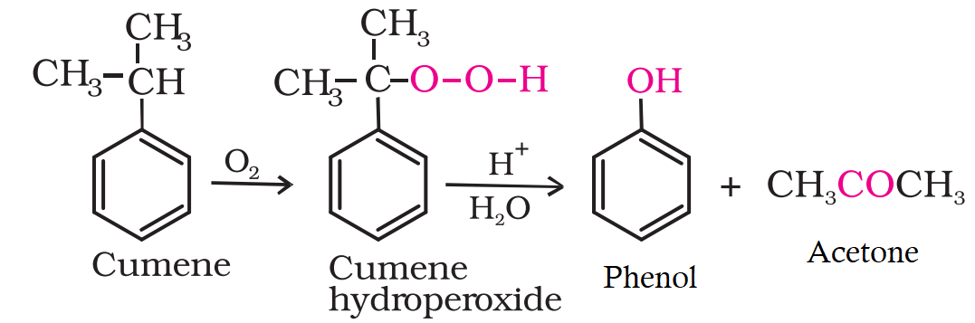 Give The Structures And IUPAC Names Of Monohydric Phenols, 43% OFF