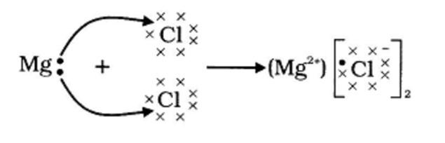 magnesium chloride lewis dot structure