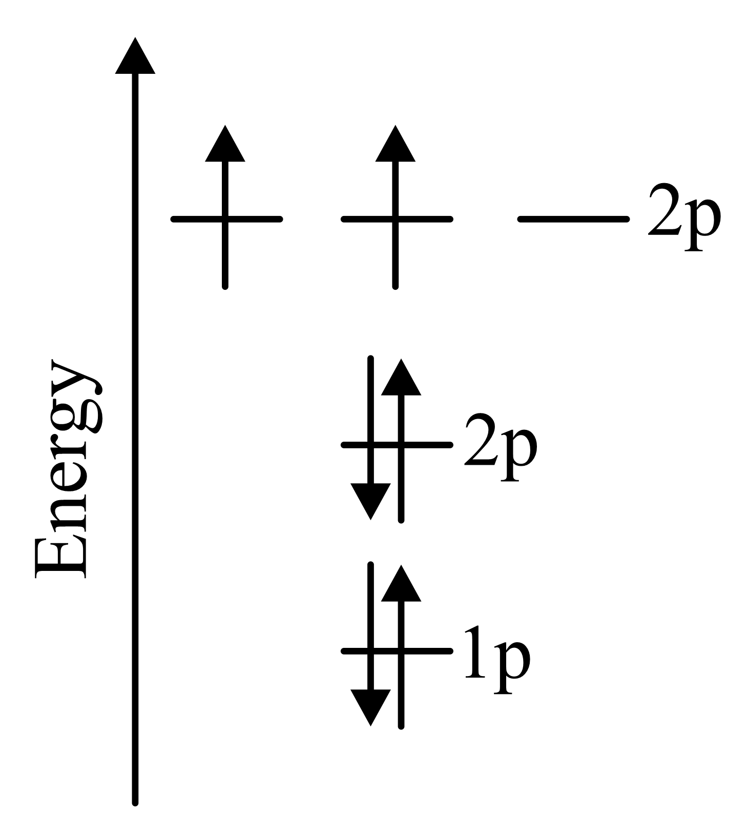 the-electronic-configuration-which-obeys-hunds-rule-for-the-ground