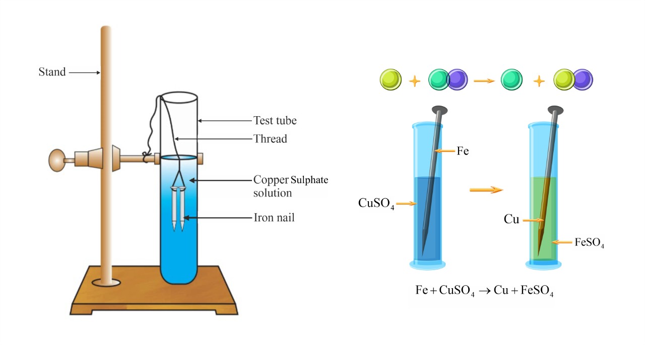 SOLVED: 'Look at the picture below. What kind of reaction is being used to  extract copper from its salt solution using the iron nail? Green iron  sulfate solution Blue copper sulfate solution