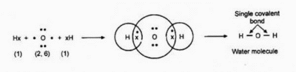 Diagrammatically represent the sharing of electrons between hydrogen ...