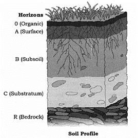 Layers of Soil Definition Description with Diagram Soil Profile   Jotscroll  Soil layers Soil Types of soil
