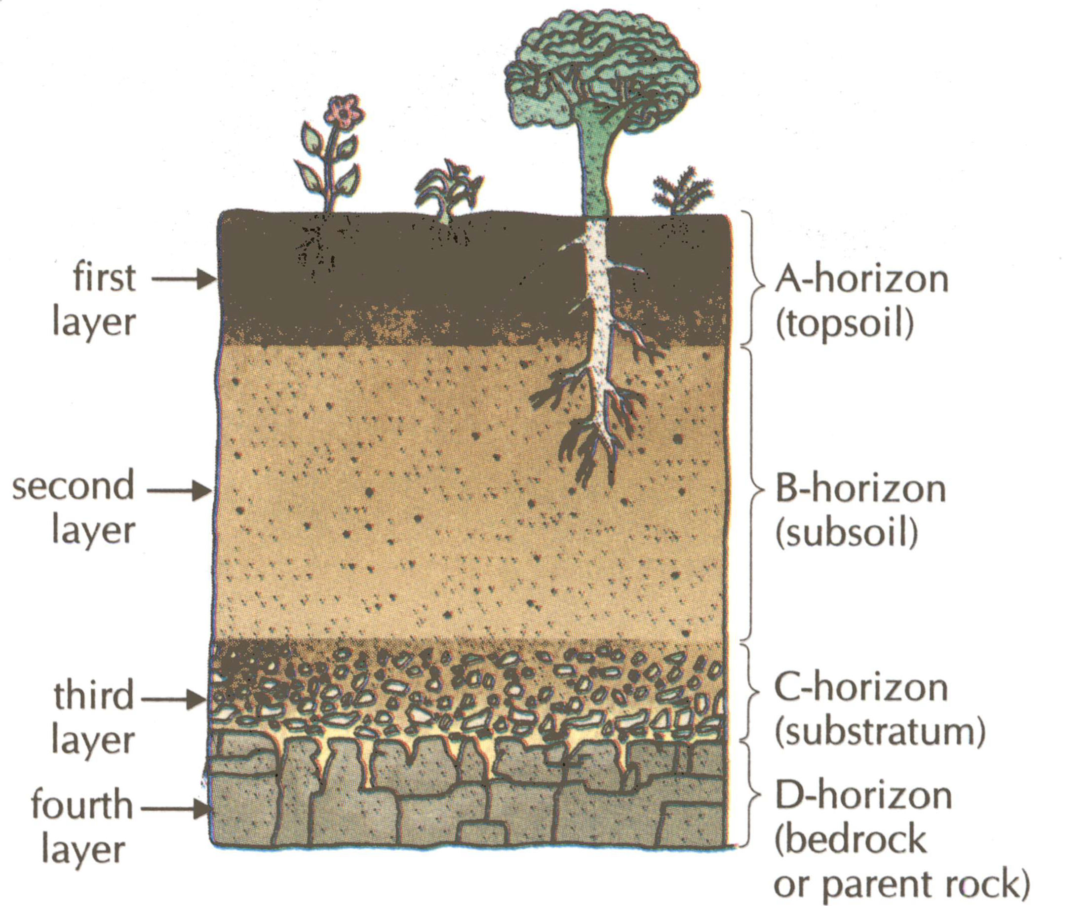 What is a soil profile?……….. drawings from the 7th Approximation | The  Eighth Approximation: Urban Soil Taxonomy in the Anthropocene